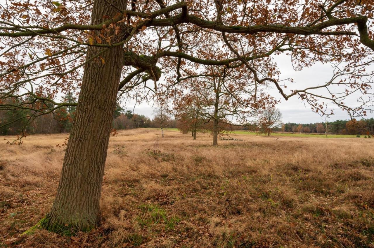 "Dennenhuisje" Op Bospark Ijsselheide Hattemerbroek Exterior photo